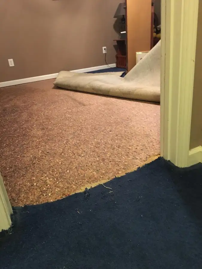 Carpet pad removal revealing water damage during Drying & Dehumidification in St. Matthews
