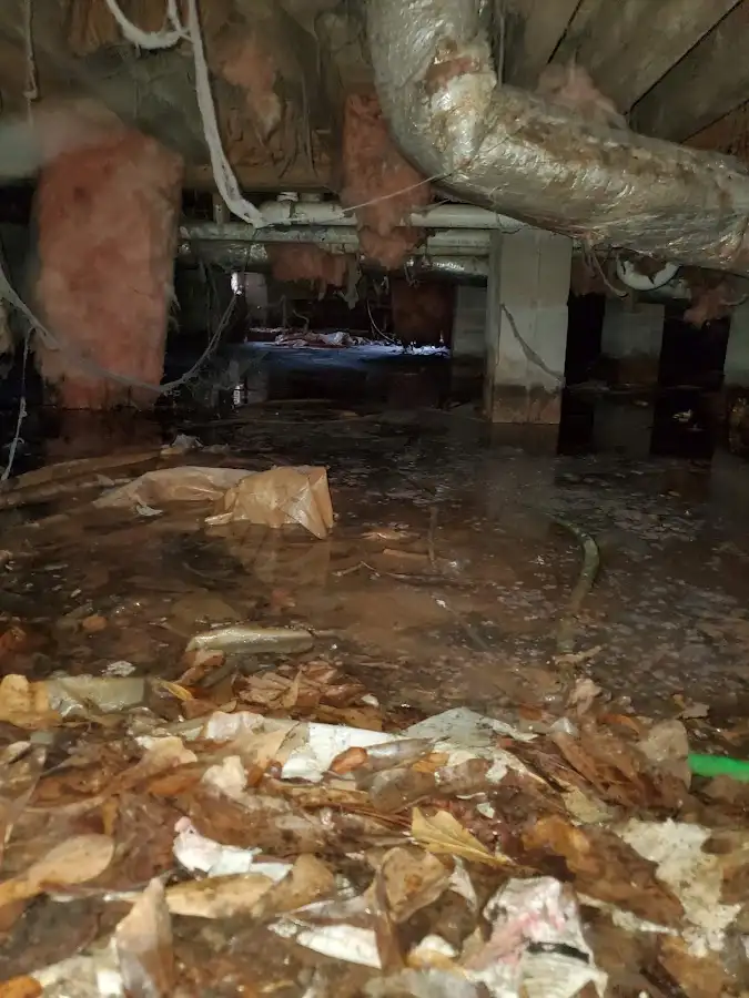 Crawl space flood assessment for Commercial Water Damage Restoration in St. Matthews